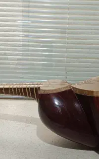 تار دومهر فدایی