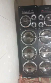 اسپیکر دوقلو میکرولب