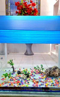 آکواریوم بزرگ