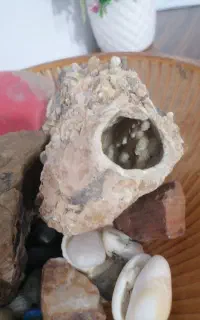 سنگ