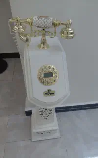 تلفن ایستاده سالم