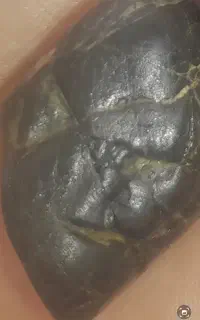 شهاب سنگ