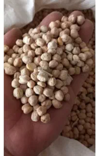 نخود تازه کیلو 170