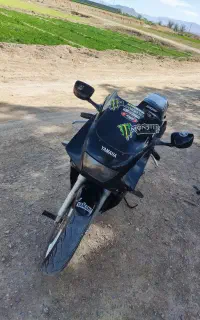 tzrیاماهاکیپس