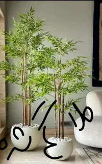 گلهای سرحال و شاداب