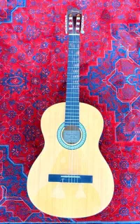 گیتار GA3NJF-AM