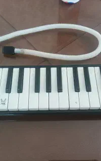 ملودیکا
