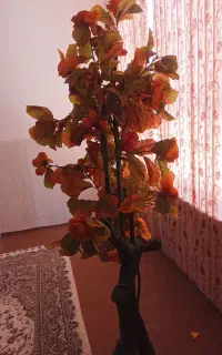گل درختی