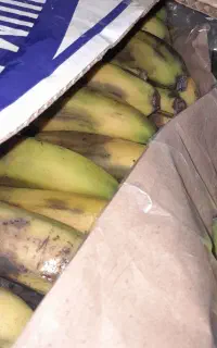موز شیر موزی