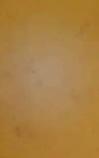 گواهینامه مصطفی علیمی