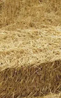 خریدار هستم نقدی تحویلی  استعلام قیمت پیام