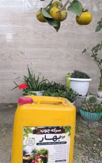 سرکه چوب تصفیه شده