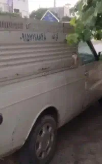 وانت پیکان