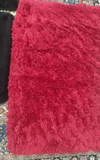پادری
