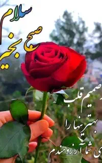 فروش سیم کارت 913چ915