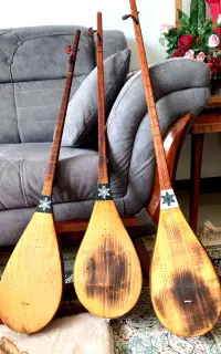 دوتارحرفه ای قیمت مناسب