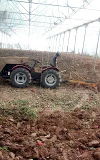 خدمات تراکتور باغی و گلخانه