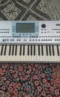 اورگ کورگ پی ای۵۰تبدیل به۸۰