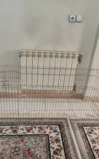 پارک سگ