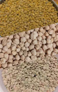 عدس و نخود محلی امسال بوجاری شده