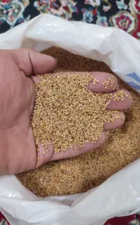 کنجد تازه چین