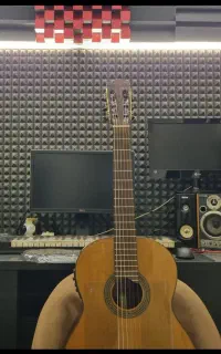 آموزش تخصصی گیتار