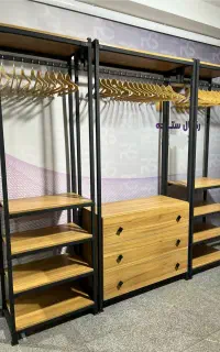 رگال های نظم دهنده