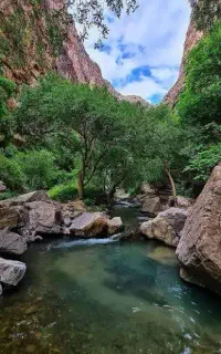 تور یک روزه دربادام
