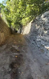تبلیغ گروه طبیعتگردی یاقوت