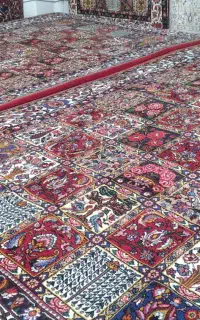 شش متری جفت صددرصد