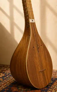 سه تار کاملا سالم و دست نخورده
