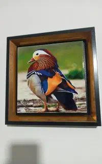 چاپ تخصصی کاشی و قاب کاشی