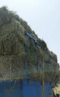 فروش یونجه پرس