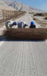 فنس کشی ونقاشی