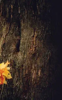 فروشنده با روابط عمومی بالا استخدام میشود