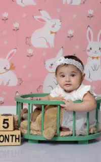 پس زمینه عکاسی
