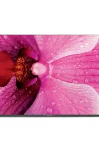 تلویزیون هوریون 4K