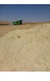 کاه نرم وریزحدود۶نیسان قیمت۲۶۰۰۰۰۰۰