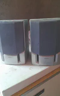 باند آیوا