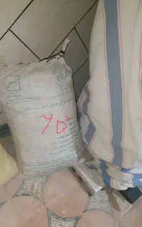 ذغال