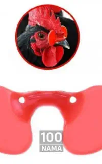 عینک قرقاول