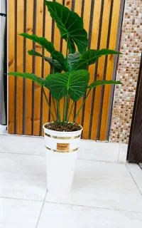 درختچه مصنوعی