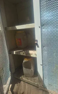 جفتکن سه تایی