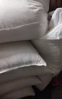 لوبیا چیتی جهت بذر پاییزه