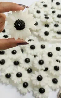 شمع بابونه
