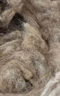 پشم گوسفندتمیز