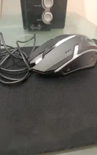 دو عدد موس