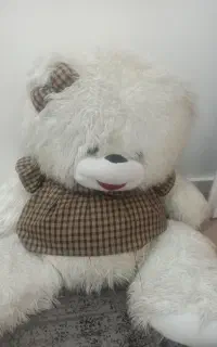 خرس پاندا بزرگ