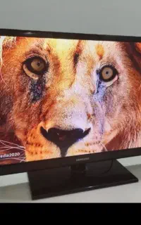 ال سی دی ۴۳ سامسونگ دیجیتال سرخود فلشخور