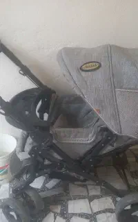 کالسکه مارک چیکودرحدنو